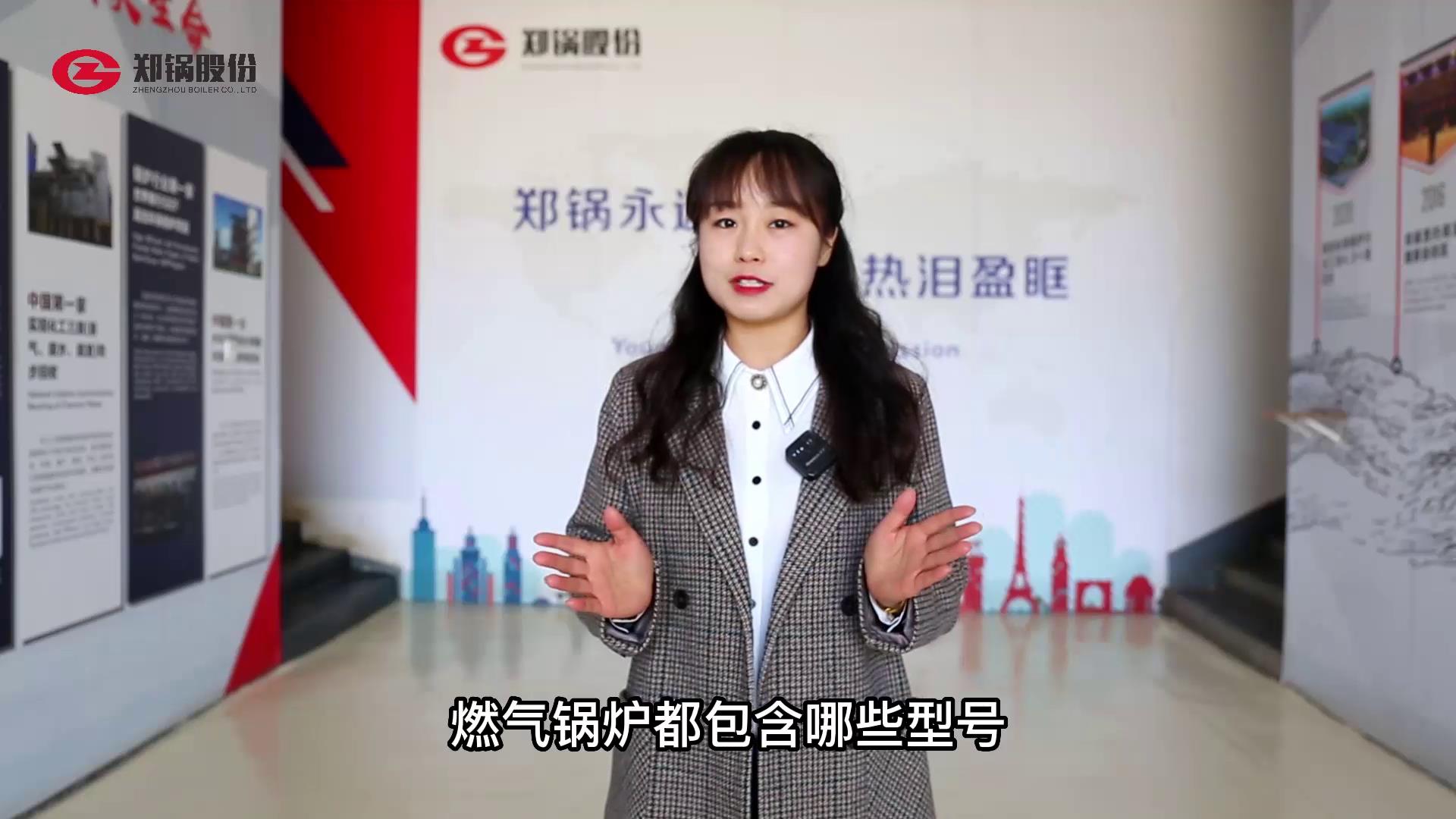 ȼ����¯������Щ�ͺ�