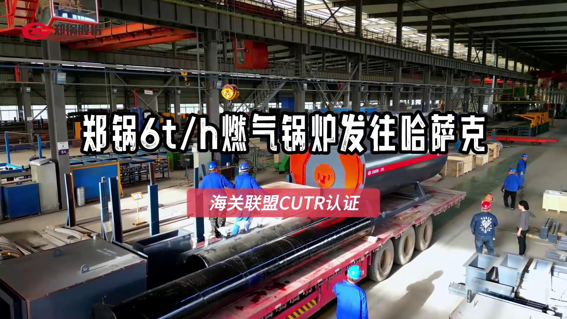 6��WNSȼ����¯���ڹ�����˹̹