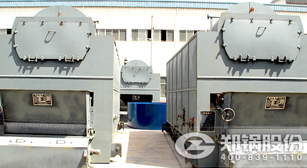 ÉúÎïÖÊÕôÆû¹øÂ¯