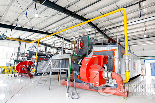 ����ʡ��һ̨�͵�ȼ�չ�¯