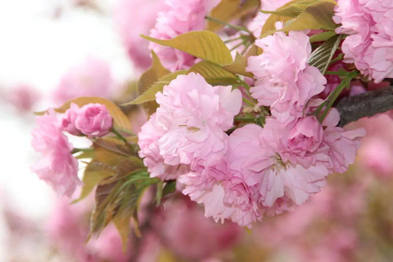 DUOBAO�౦��(�й����޹�˾)�ٷ���վ