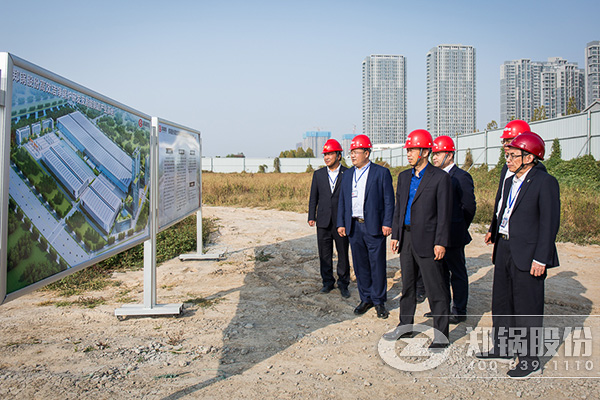 ��˾�߲��쵼һ���Ӳ켯�Ÿ������չ���