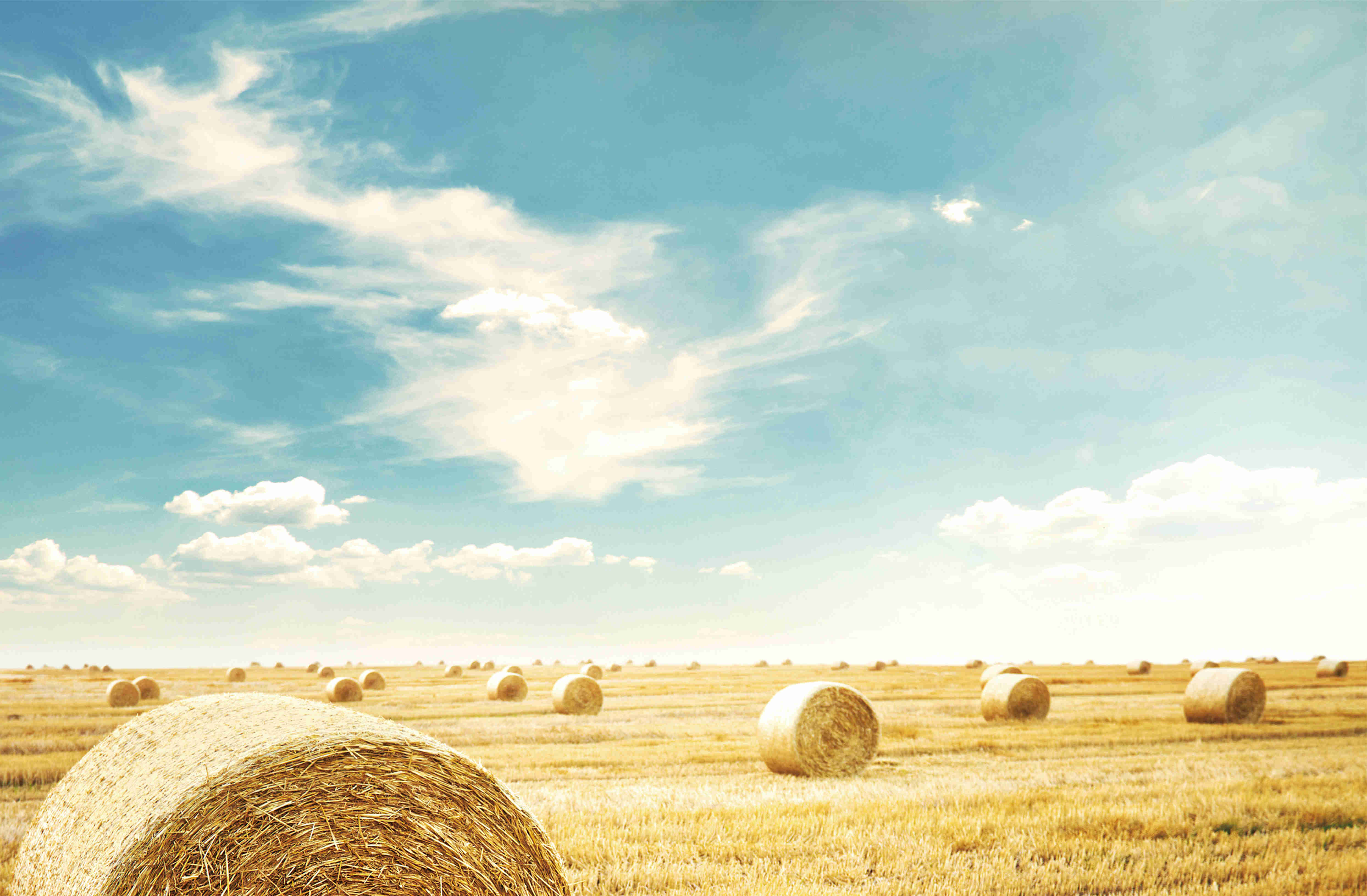 ��2021�������ʡ�ո��ۺ����ù���ʵʩ����������