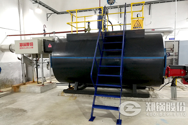 WNS15-1.0-Q��ȫ�Զ�ȼ��������¯��������