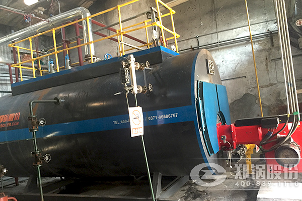 10��ȼ��ȼ����¯wns�ͺ�szs����ʲô����