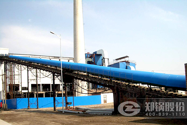 20t������ȼ�Ϲ�¯��������һ�廯�����������