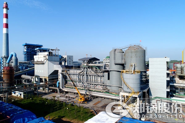 �����������ȹ�¯