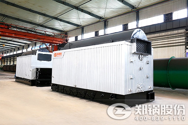 ������˹̹��̨DZL6-1.25-AII����¯��������¯