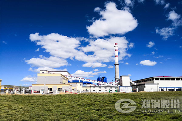 ��������3*46MW��65�֣�DHL��QXL���ǹ�ǿ��ѭ��������¯��Ŀ