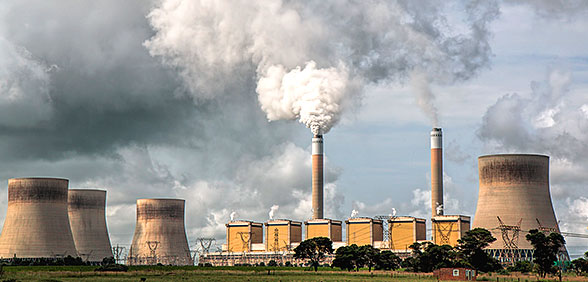 ������Ⱦ