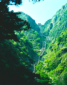 DUOBAO�౦��(�й����޹�˾)�ٷ���վ