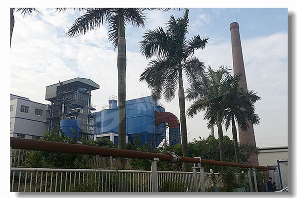 4¶ÖÉúÎïÖÊÎÔʽÕôÆû¹øÂ¯¼Û¸ñ