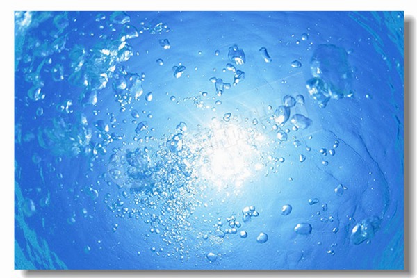 ȼú����¯����ʹ�õ���ȼ����ʲô����������������