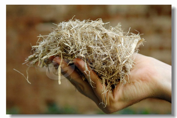 ¹¤ÒµÓÃúȼÁϵÍѹÈÈË®¹øÂ¯