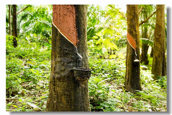 �����ʿ�����¯����Ǯ����������������