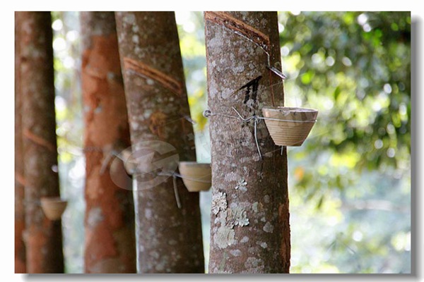 �������ò��ϵĹ�ҵ�����ʹ�¯