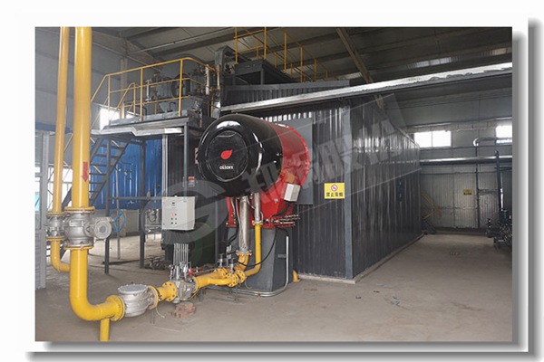 ��������¯�����������¯���