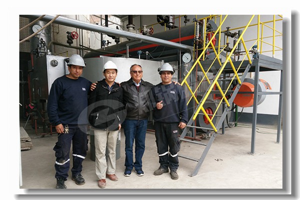 ÓÍÌïÈ¼ÆøË«È¼ÁÏÕôÆû¹øÂ¯ÕýÆ·