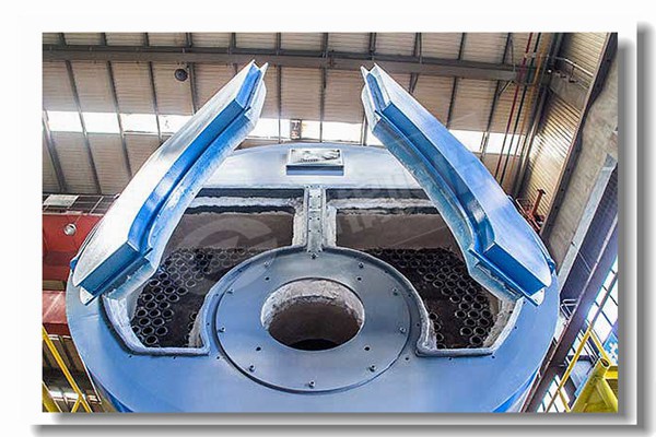 wns 2¶ÖÌìÈ»ÆøÕôÆû¹øÂ¯