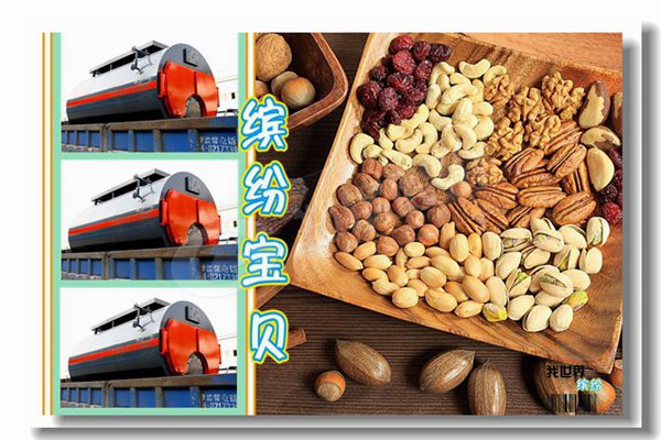 ũ����˫ȼ��ȼ�����͹�¯��¯