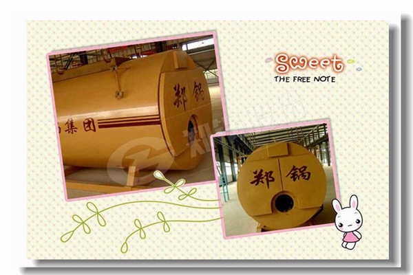 wnsȼ����ˮ��¯�Ĺ���ԭ��