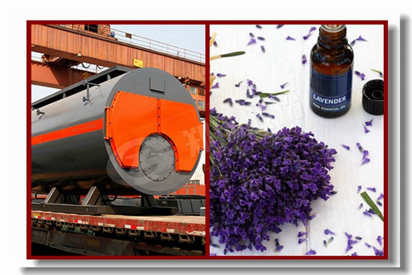 ÕÛ¿ÛÈÈË®¹øÂ¯É¢ÈÈÆ÷