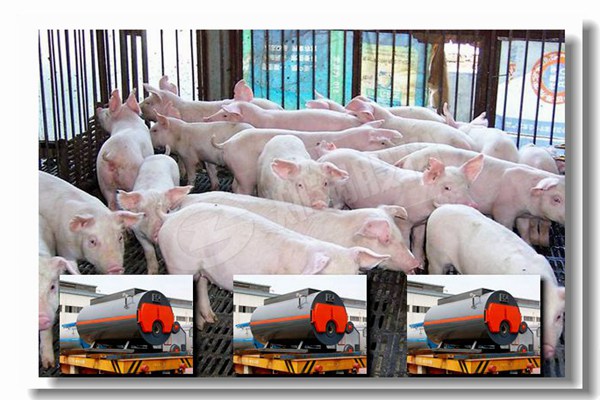 »¯¹¤³§20¶ÖÁ´Ìõ¯ÅŹ¤Òµ¹øÂ¯