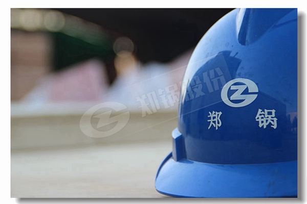 DZGϵÁй̶¨Â¯ÅŶàȼÁϹøÂ¯